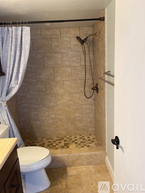 A bathroom with a toilet, shower, and a white curtain.