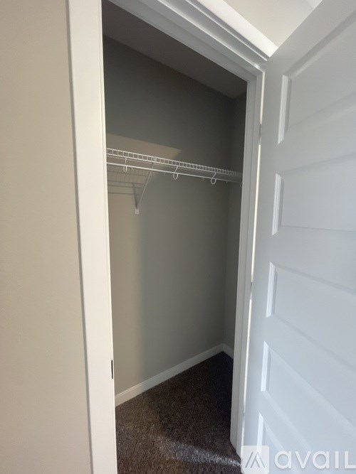 A white closet with a carpeted floor and a white door.