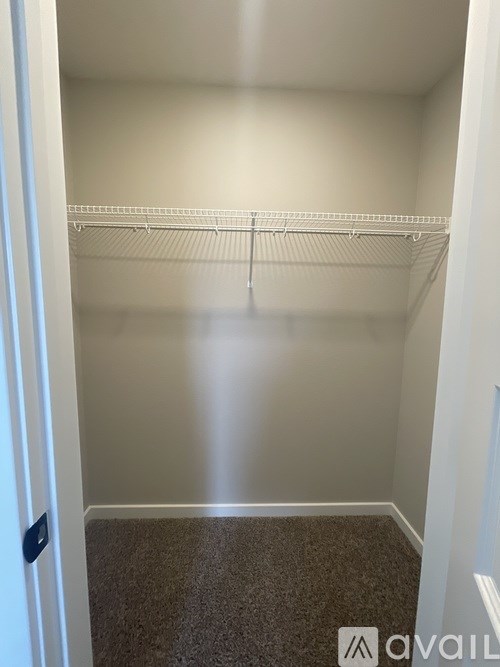 A small, empty closet with a carpeted floor and white walls.