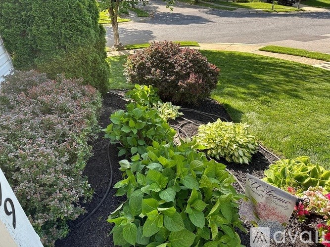A garden with a variety of plants and a sign that reads "Cavallari".