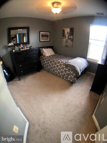 A bedroom with a bed, dresser, and mirror.