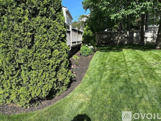 A well-maintained lawn with a hedge and a fence in the background.