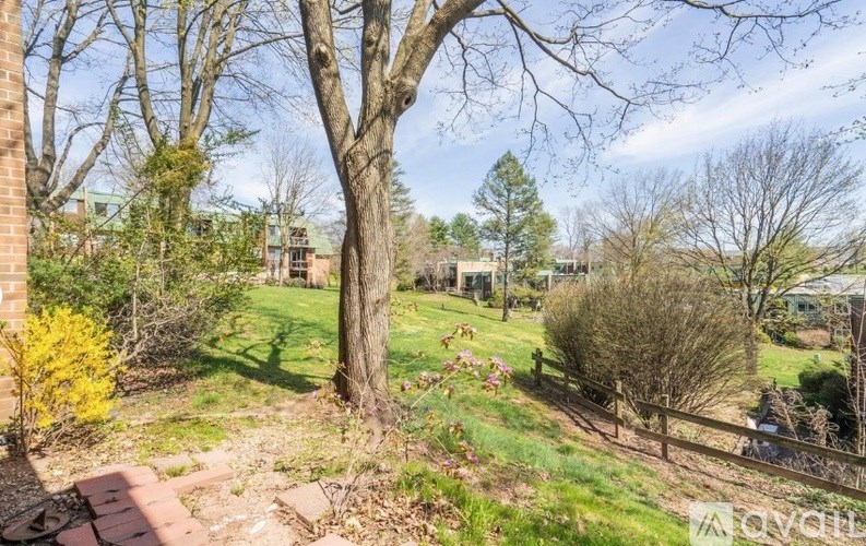 A tree with green leaves stands in a grassy area.