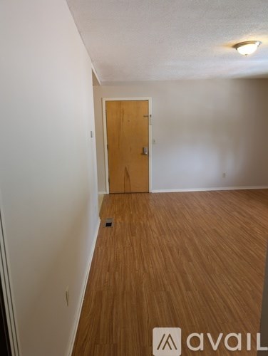 A room with a wooden floor and a brown door.