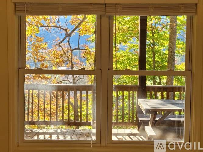 A window with a view of a wooden deck and trees.