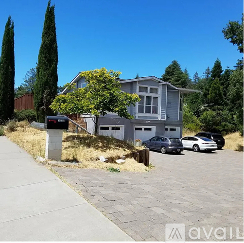 A house with a grey facade is surrounded by greenery and has a mailbox in front.