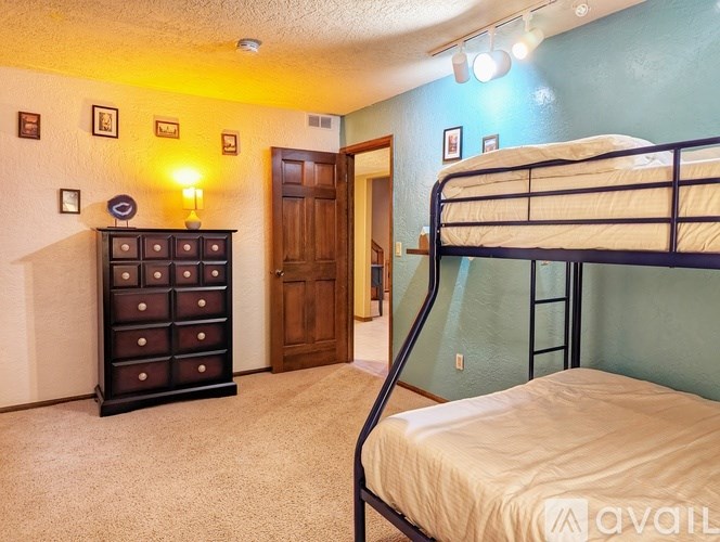 A bedroom with a bunk bed and a chest of drawers.
