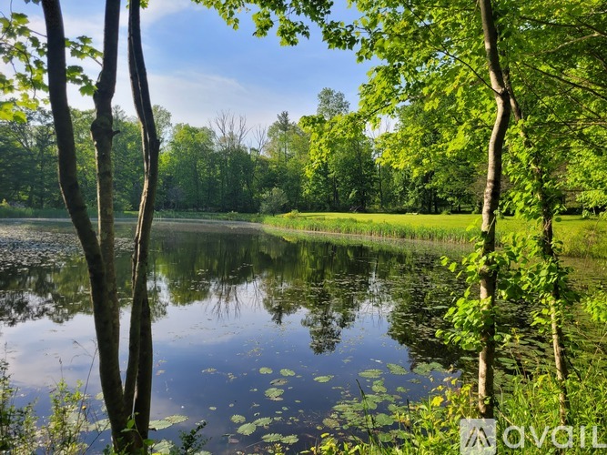 A serene lake surrounded by lush greenery and trees.