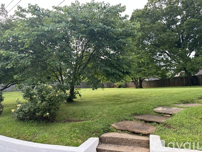A backyard with a stone pathway and a tree.