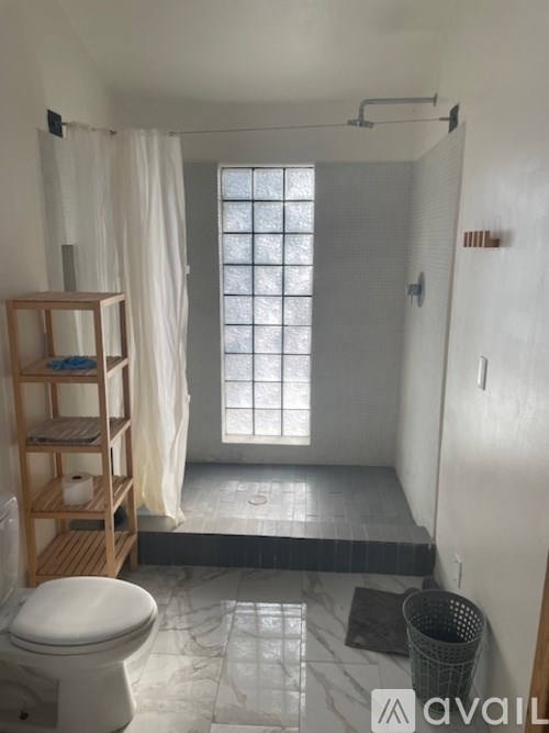 A bathroom with a toilet, a shower, and a window.