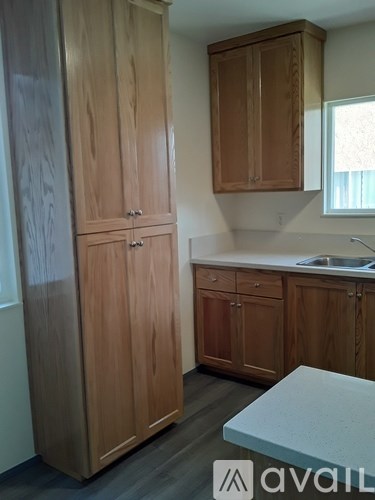 A kitchen with wooden cabinets and a countertop.