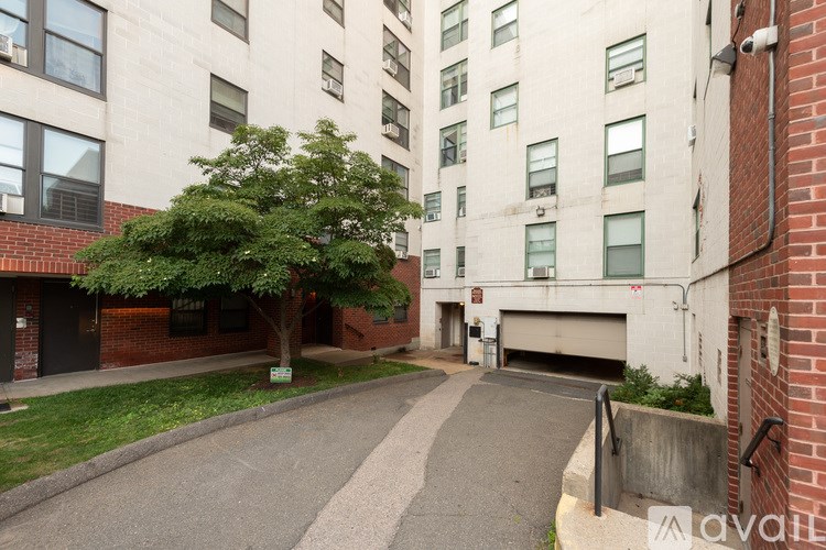 A tree is in front of a building with a garage door.