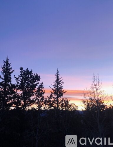 A beautiful sunset with trees in the foreground.