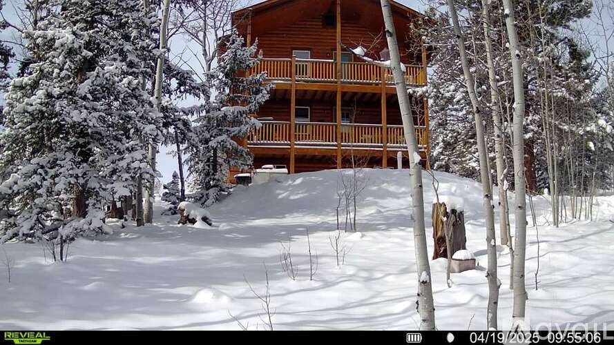 A large wooden building with a balcony is surrounded by snow-covered trees.