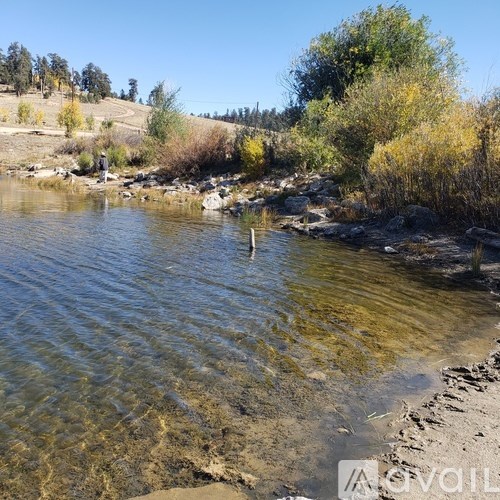 A river flows through a natural landscape with trees and shrubs.