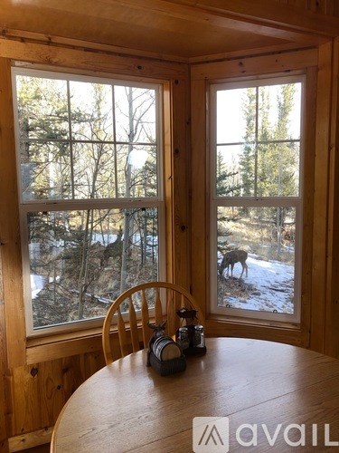 A wooden table with a chair and a window showing a forest scene.