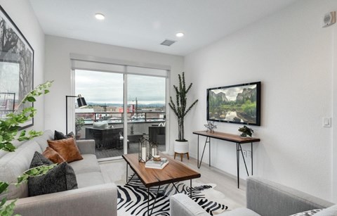 A living room with a zebra print rug and a grey couch.