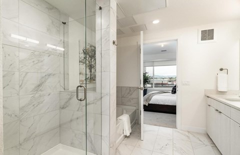 A bathroom with a walk-in shower and a bedroom in the background.