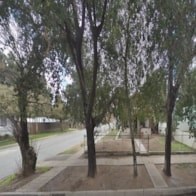 A tree-lined street with a sidewalk.
