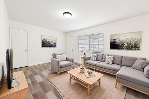 A living room with a grey couch, a coffee table, and a television.