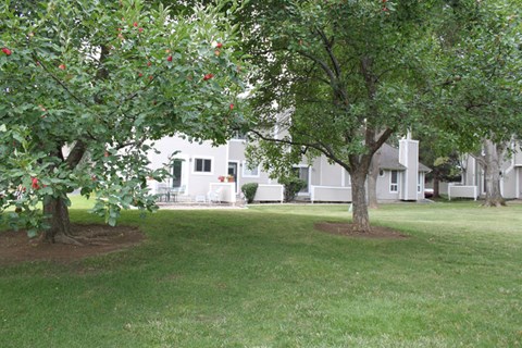 4255 Westshore Way 1 Bed Apartment for Rent