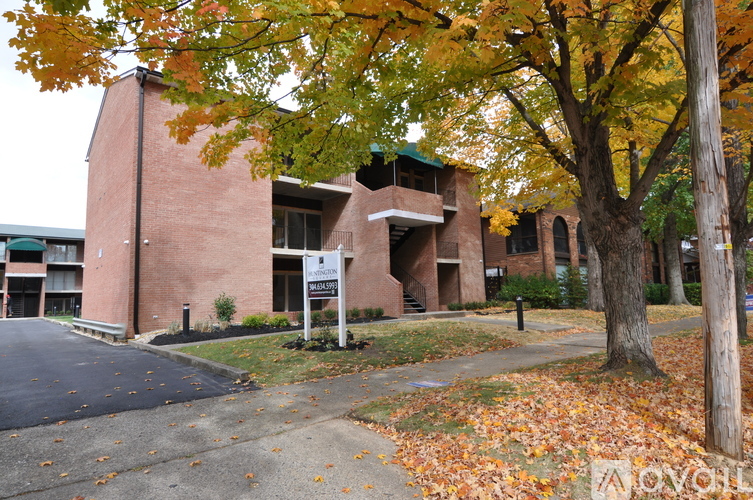 A tree with yellow leaves in front of a brick building.