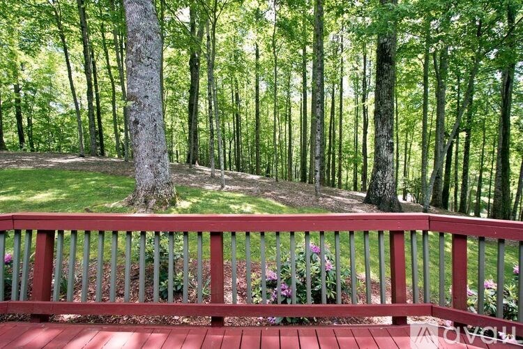 A red wooden deck with a railing and a tree in the background.