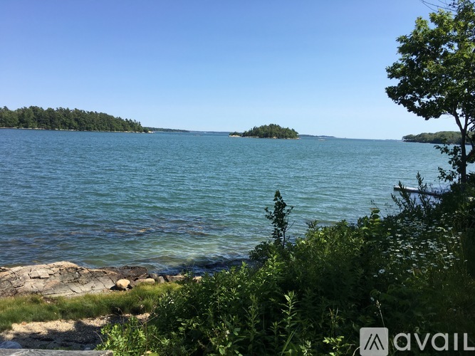 A calm lake surrounded by greenery and trees under a clear blue sky.