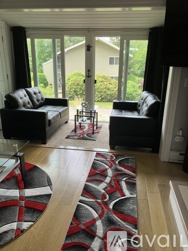 A living room with a black couch and a red and black rug.