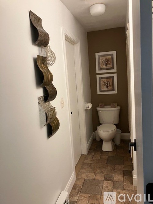 A hallway with a toilet and a wall decoration.