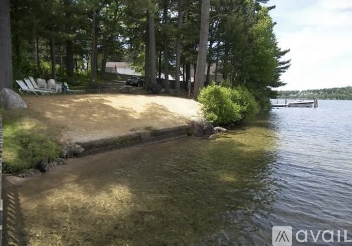 A body of water surrounded by trees and a sandy beach.