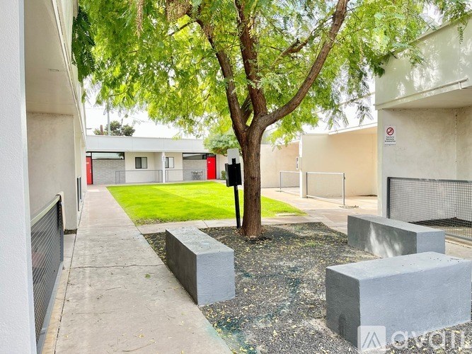 A tree in a concrete planter stands in front of a building with a red door.