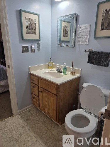 A bathroom with a toilet, sink, and pictures on the wall.
