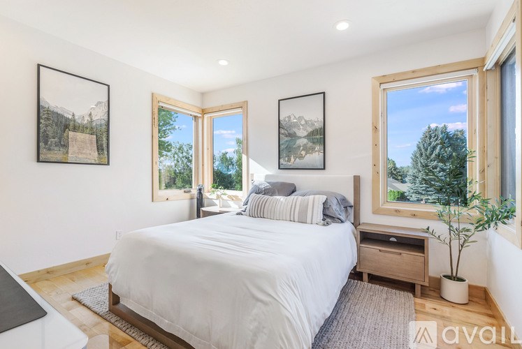 A bedroom with a large bed, two pictures on the wall, and a potted plant.