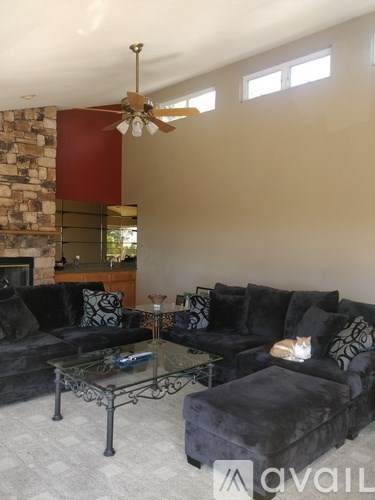 A living room with a black couch and a glass coffee table.