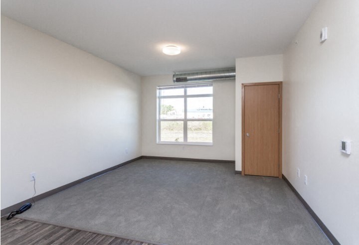 A room with a brown door and a window with a view of trees.