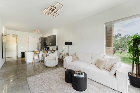 A modern living room with a white couch and a grey rug.