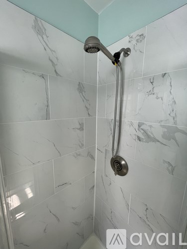 A shower head with a hose attached to it.