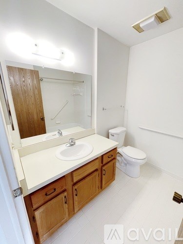 A bathroom with a sink, toilet, and mirror.