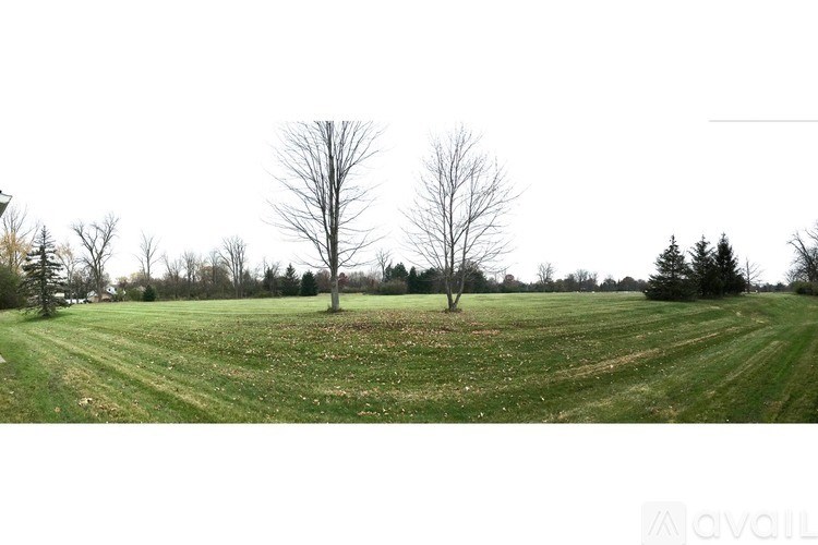 A grassy field with trees in the distance and a logo in the bottom right corner.