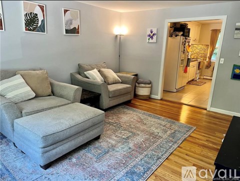 A living room with a grey couch and a rug.