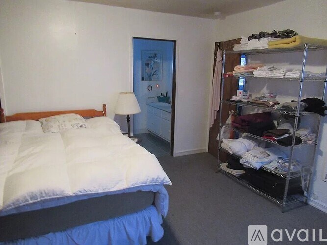 A bedroom with a bed, a lamp, and a closet.