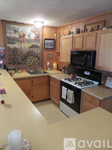A kitchen with wooden cabinets and a painting on the wall.