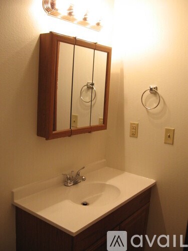 A bathroom with a sink and mirror.