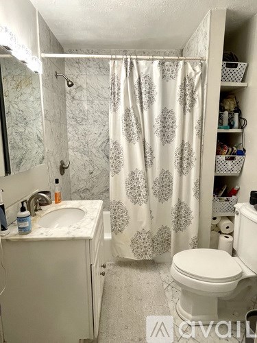 A white bathroom with a shower curtain and a toilet.