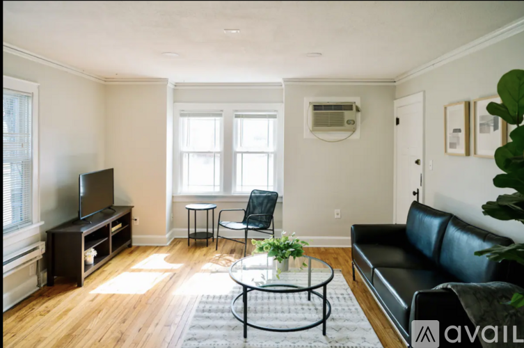 A black leather couch with a potted plant on the side.