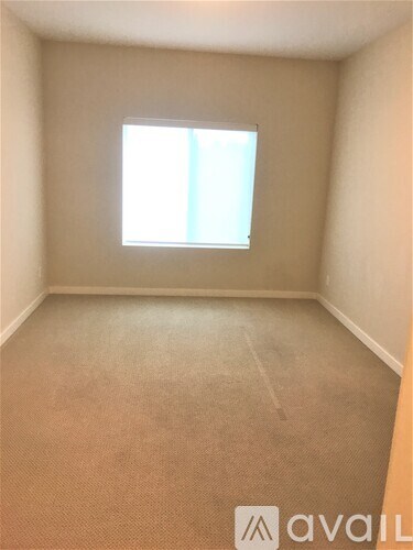 A room with a carpeted floor and a window letting in light.