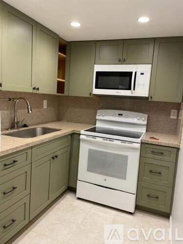 A kitchen with green cabinets and a white oven.