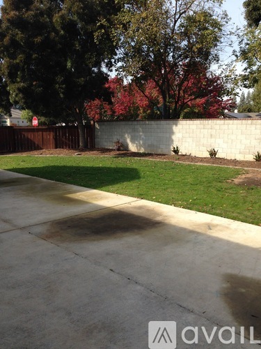 A backyard with a concrete walkway and a white wall.