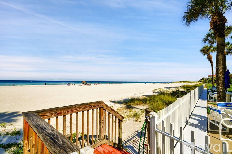 A beach scene with a wooden deck and palm tree.